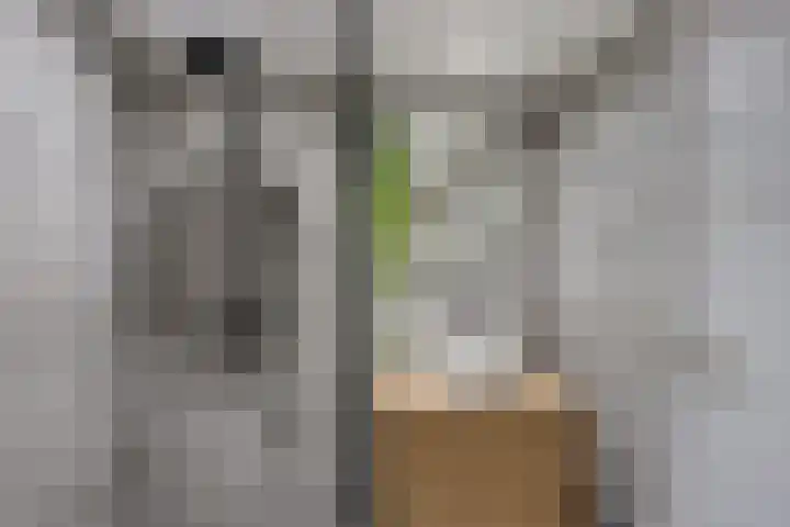 Ulbe van Houtenstrjitte 88 Gytsjerk thumbnail 24