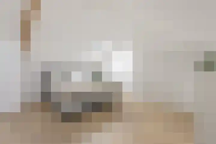 Ulbe van Houtenstrjitte 88 Gytsjerk thumbnail 25