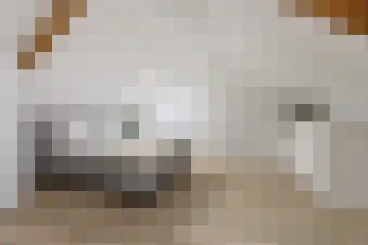 Ulbe van Houtenstrjitte 88 Gytsjerk thumbnail 26