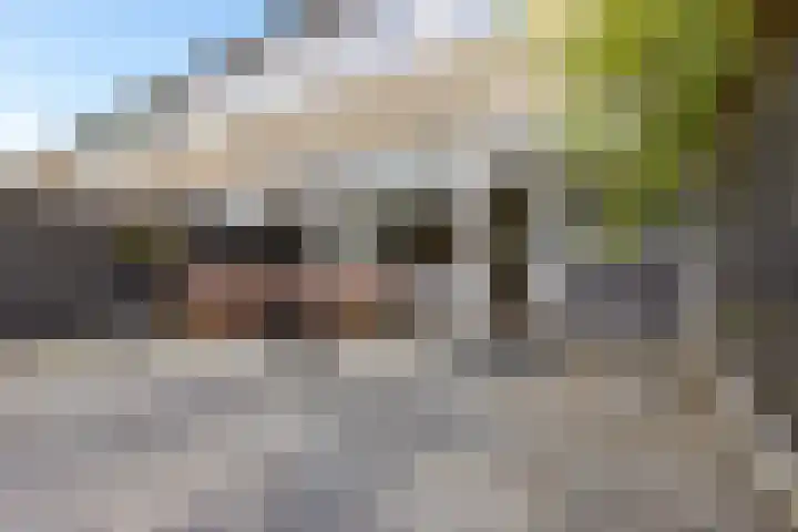Ulbe van Houtenstrjitte 88 Gytsjerk thumbnail 32