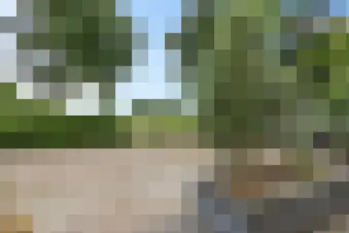 Ulbe van Houtenstrjitte 88 Gytsjerk thumbnail 38
