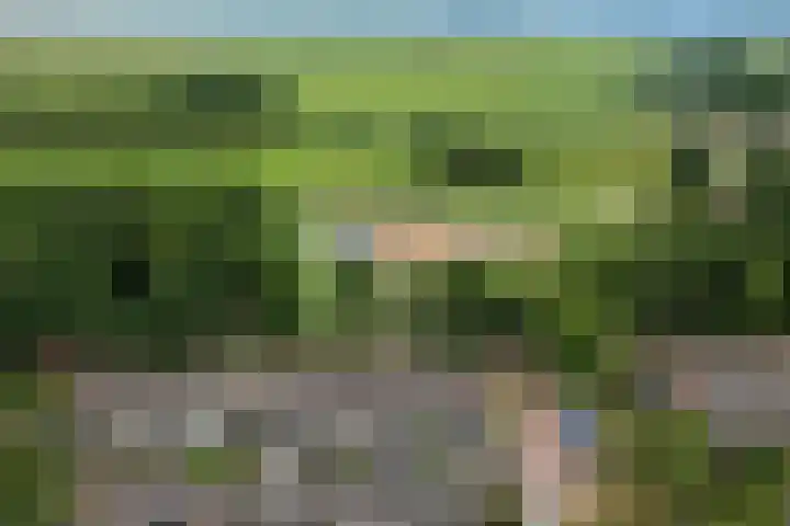 Ulbe van Houtenstrjitte 88 Gytsjerk thumbnail 40