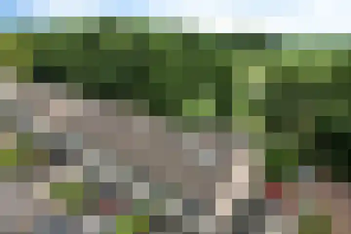 Ulbe van Houtenstrjitte 88 Gytsjerk thumbnail 41