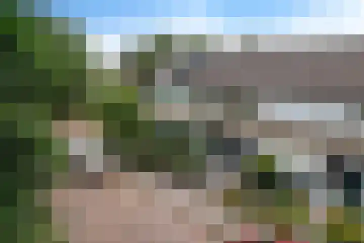 Ulbe van Houtenstrjitte 88 Gytsjerk thumbnail 42