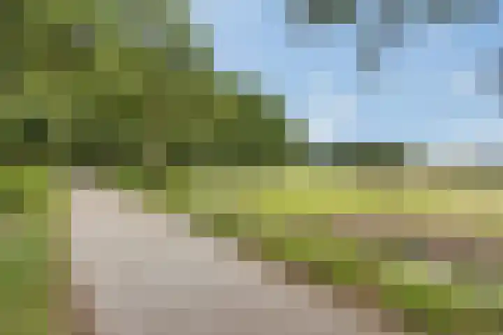 Ulbe van Houtenstrjitte 88 Gytsjerk thumbnail 44