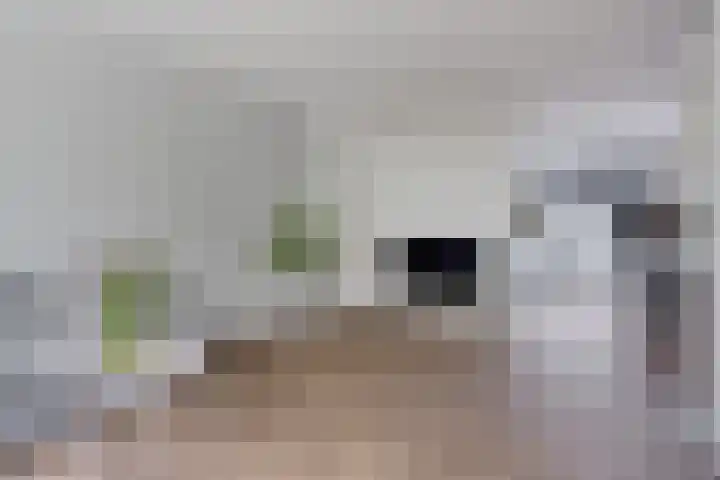 Ulbe van Houtenstrjitte 88 Gytsjerk thumbnail 5