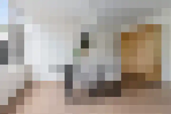 Ulbe van Houtenstrjitte 88 Gytsjerk thumbnail 6