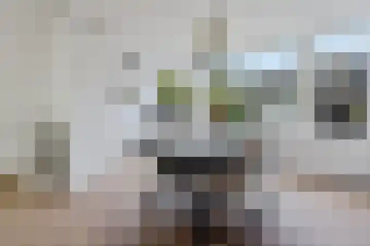Ulbe van Houtenstrjitte 88 Gytsjerk thumbnail 7