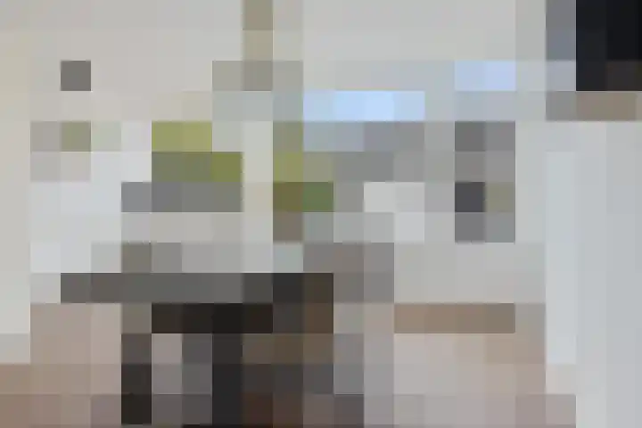 Ulbe van Houtenstrjitte 88 Gytsjerk thumbnail 8