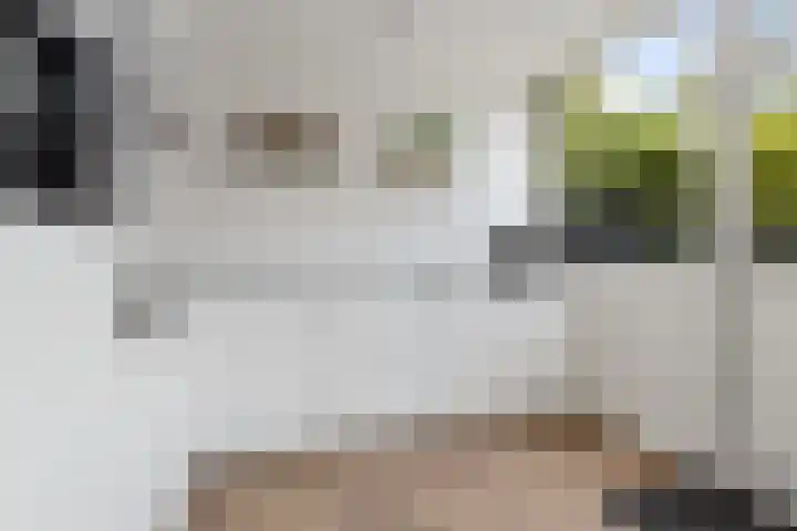 Ulbe van Houtenstrjitte 88 Gytsjerk thumbnail 9