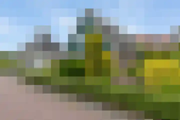 Ulbrandahof 3 Uithuizen thumbnail 10
