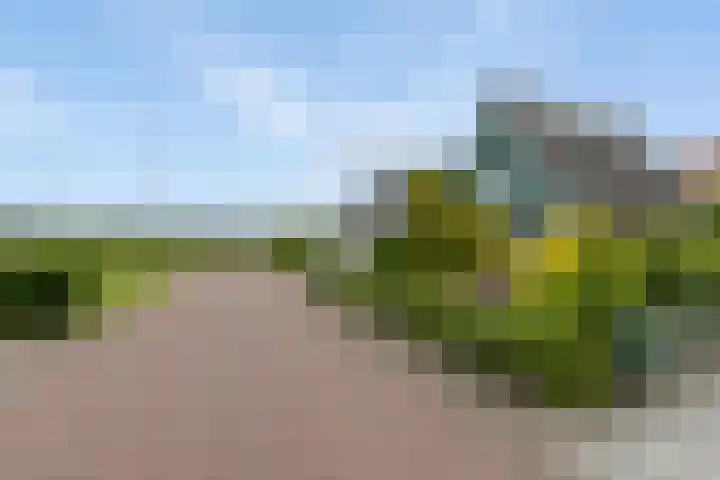 Ulbrandahof 3 Uithuizen thumbnail 11