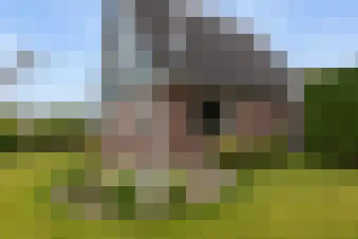 Ulbrandahof 3 Uithuizen thumbnail 12
