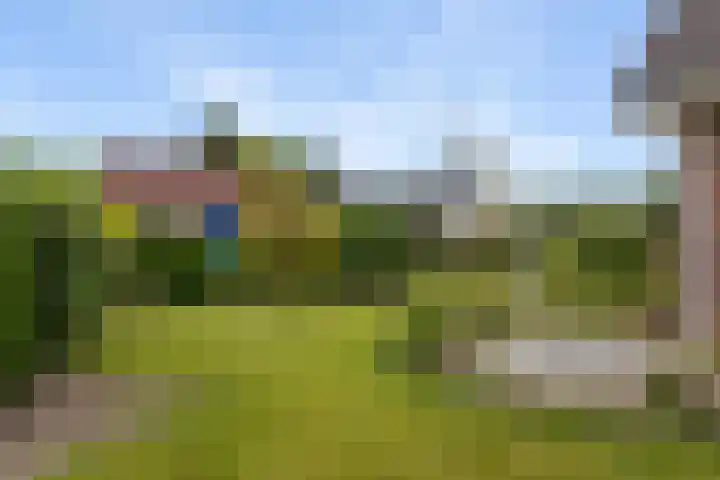 Ulbrandahof 3 Uithuizen thumbnail 13