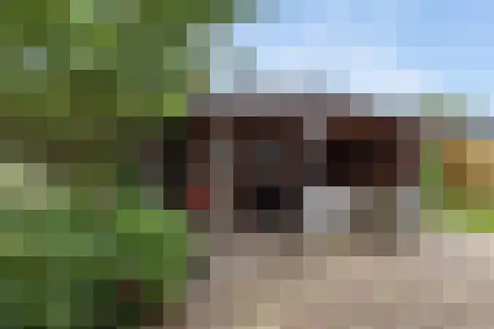 Ulbrandahof 3 Uithuizen thumbnail 15