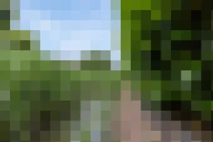 Ulbrandahof 3 Uithuizen thumbnail 20