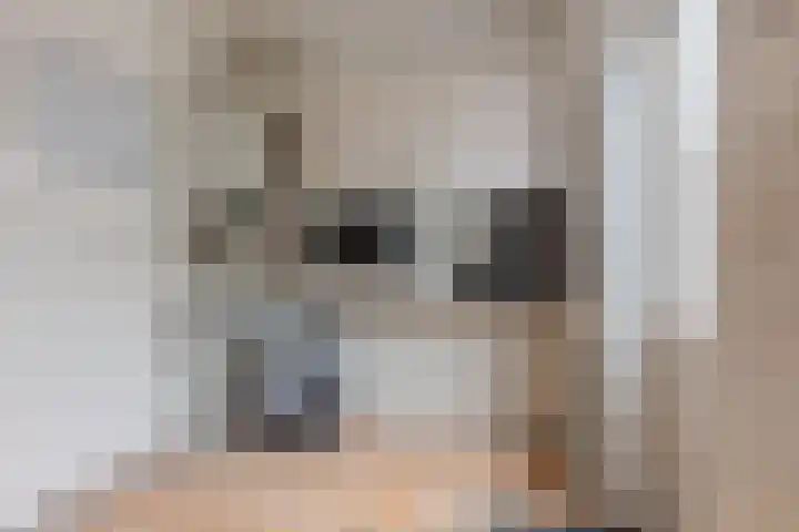 Ulbrandahof 3 Uithuizen thumbnail 35