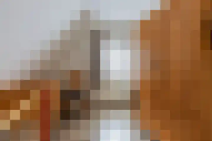 Ulbrandahof 3 Uithuizen thumbnail 43