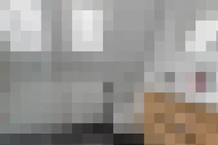 Ulbrandahof 3 Uithuizen thumbnail 44