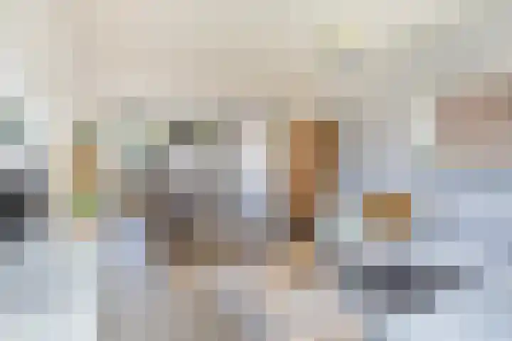 Uleflecht 21 Beetsterzwaag thumbnail 10