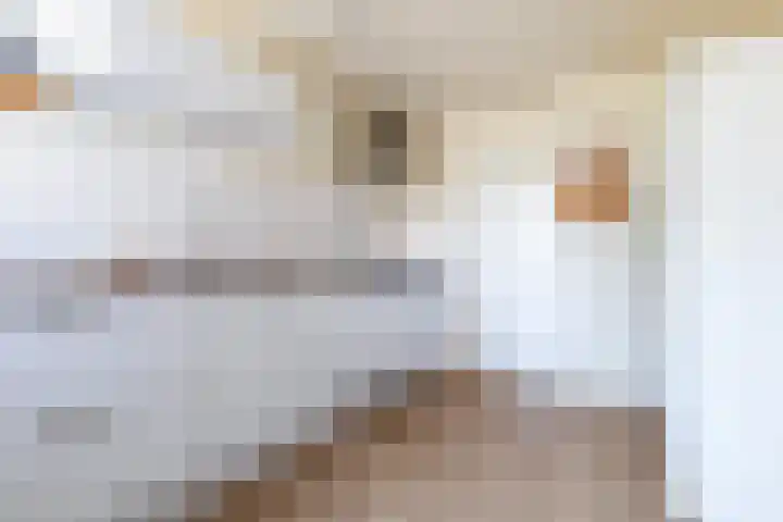 Uleflecht 21 Beetsterzwaag thumbnail 13