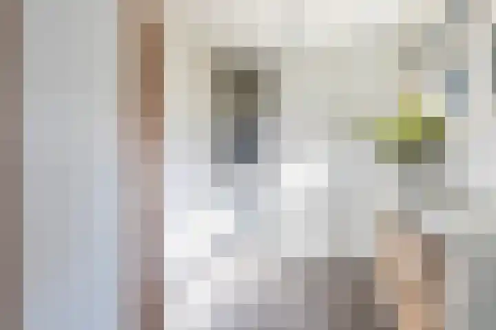 Uleflecht 21 Beetsterzwaag thumbnail 18