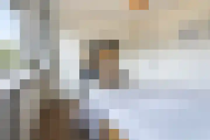 Uleflecht 21 Beetsterzwaag thumbnail 21
