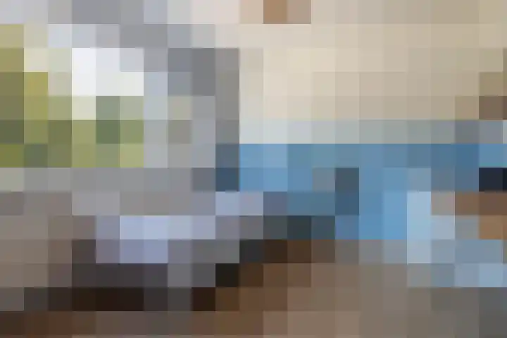 Uleflecht 21 Beetsterzwaag thumbnail 26