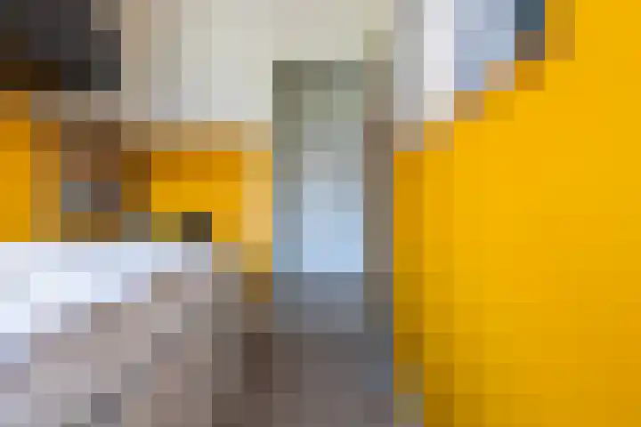 Uleflecht 21 Beetsterzwaag thumbnail 32
