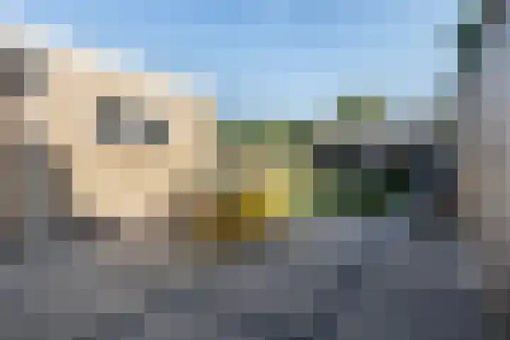 Uleflecht 21 Beetsterzwaag thumbnail 33