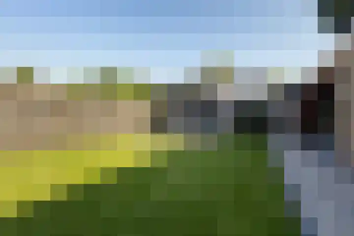 Uleflecht 21 Beetsterzwaag thumbnail 34