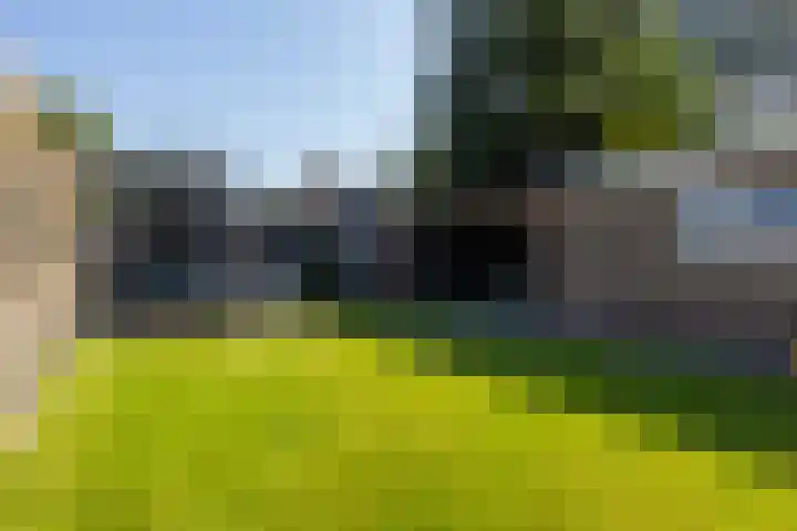Uleflecht 21 Beetsterzwaag thumbnail 35