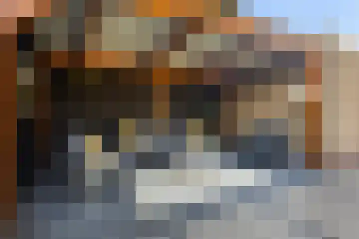 Uleflecht 21 Beetsterzwaag thumbnail 37