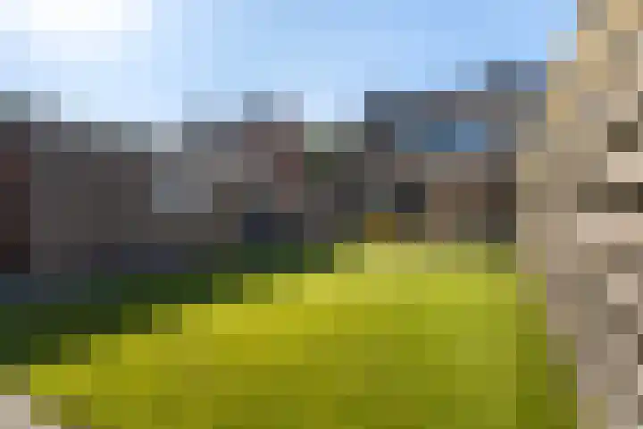 Uleflecht 21 Beetsterzwaag thumbnail 38