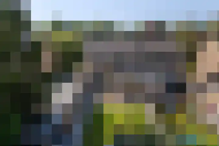 Uleflecht 21 Beetsterzwaag thumbnail 39
