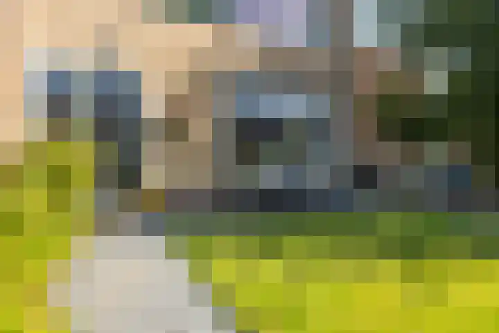 Uleflecht 21 Beetsterzwaag thumbnail 4