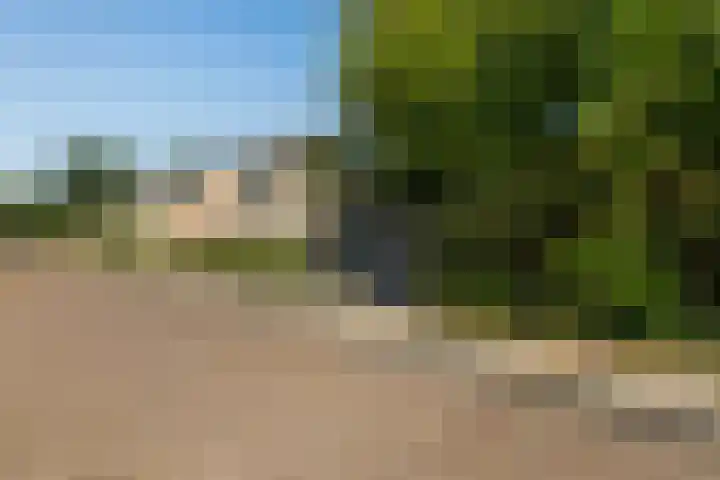 Uleflecht 21 Beetsterzwaag thumbnail 41