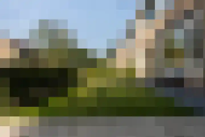 Uleflecht 21 Beetsterzwaag thumbnail 42