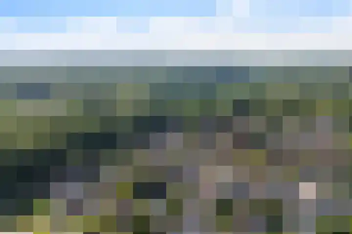 Uleflecht 21 Beetsterzwaag thumbnail 43