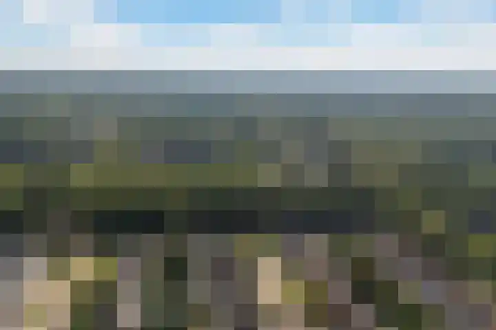 Uleflecht 21 Beetsterzwaag thumbnail 44