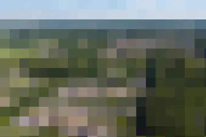 Uleflecht 21 Beetsterzwaag thumbnail 45