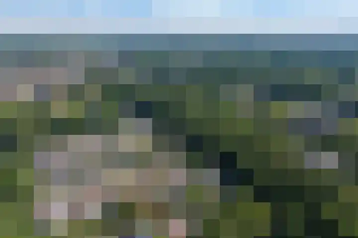 Uleflecht 21 Beetsterzwaag thumbnail 46