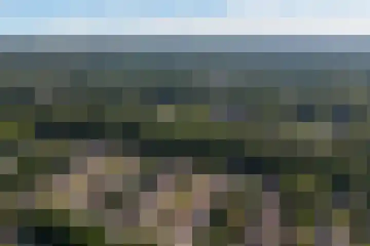 Uleflecht 21 Beetsterzwaag thumbnail 47
