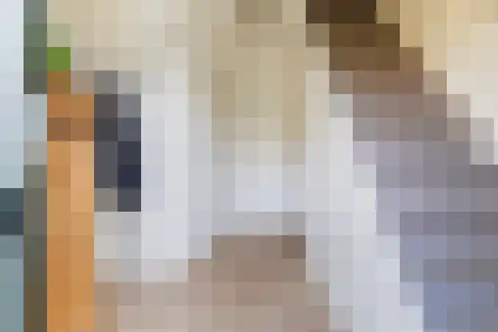 Uleflecht 21 Beetsterzwaag thumbnail 6