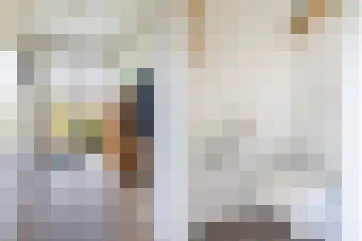Uleflecht 21 Beetsterzwaag thumbnail 7