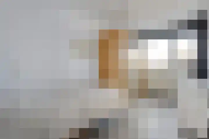 Ulenholt 6 Haaksbergen thumbnail 22