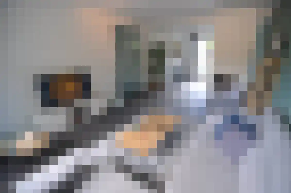 Ulenpas 2 Eindhoven thumbnail 4