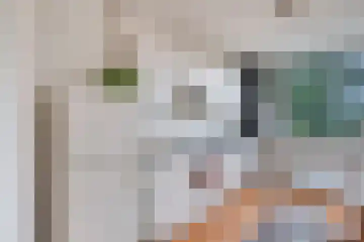 Ulenpas 21 A Eindhoven thumbnail 16