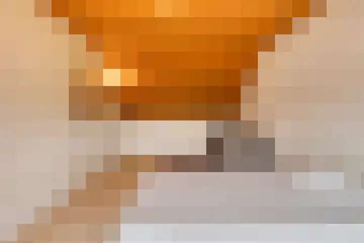 Ulenpas 21 A Eindhoven thumbnail 21