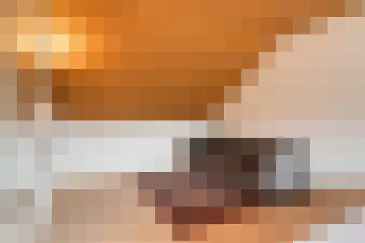 Ulenpas 21 A Eindhoven thumbnail 22